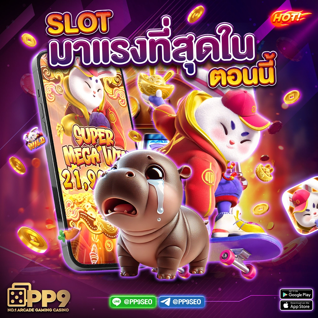 ฟีเจอร์พิเศษที่มีให้ในทางเข้าsbotoพ